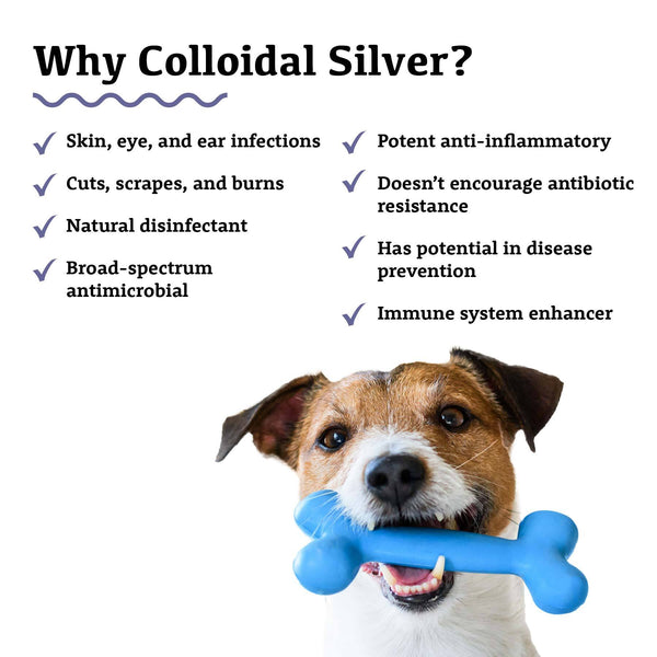 Colloidal silver shop in dogs eyes