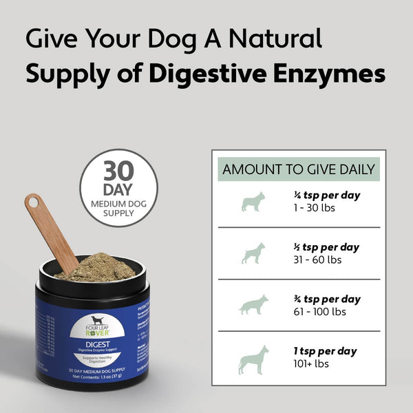 can you give your dog too much digestive enzymes