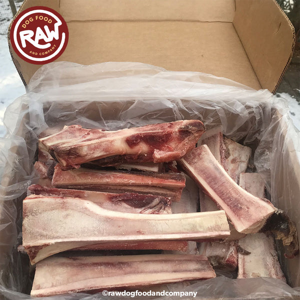 Split Bison Bones Raw Meaty Bones Shop Raw Dog Food Raw Dog Food and Company