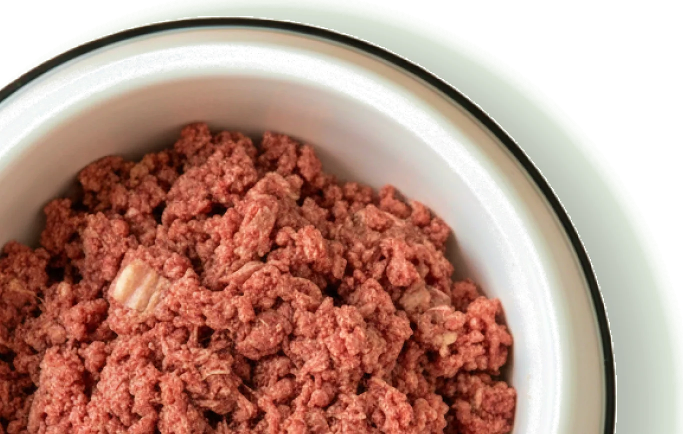 A bowl of ground raw dog food