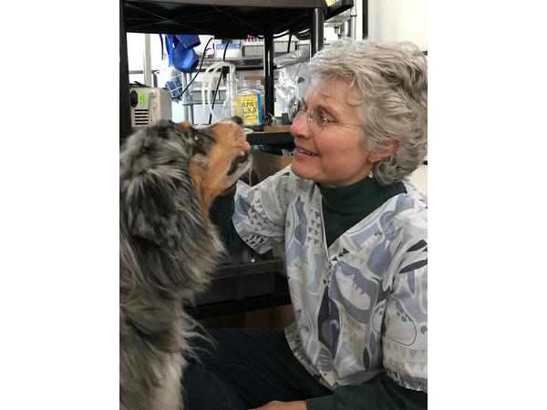 Ask the Holistic Vet - Dr. Judy Jasek, DVM