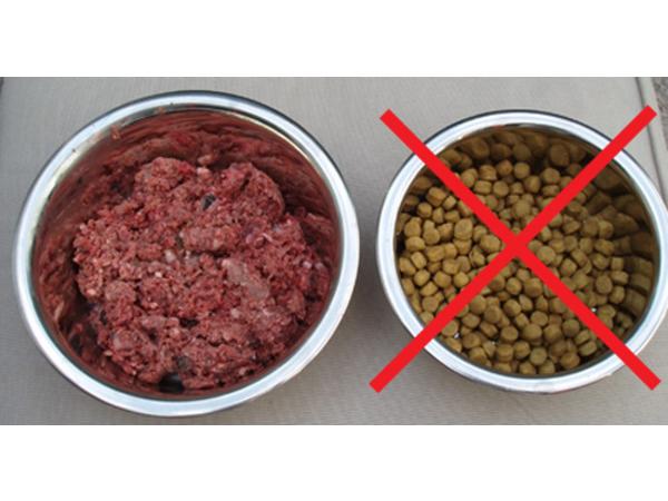 Can I Mix Kibble & Raw