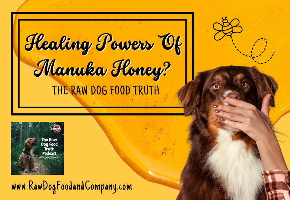 6 Healing Powers of Manuka Honey for Dogs