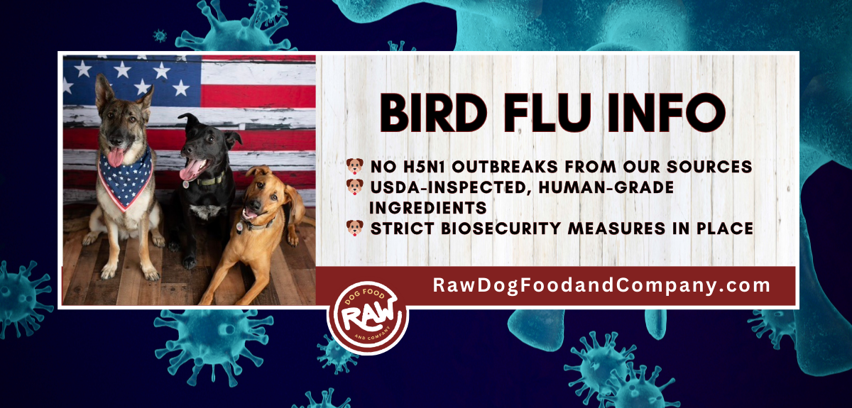 Bird Flu Information