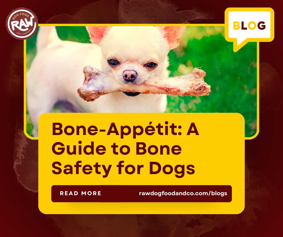 Bone-Appétit: A Guide to Bone Safety for Dogs