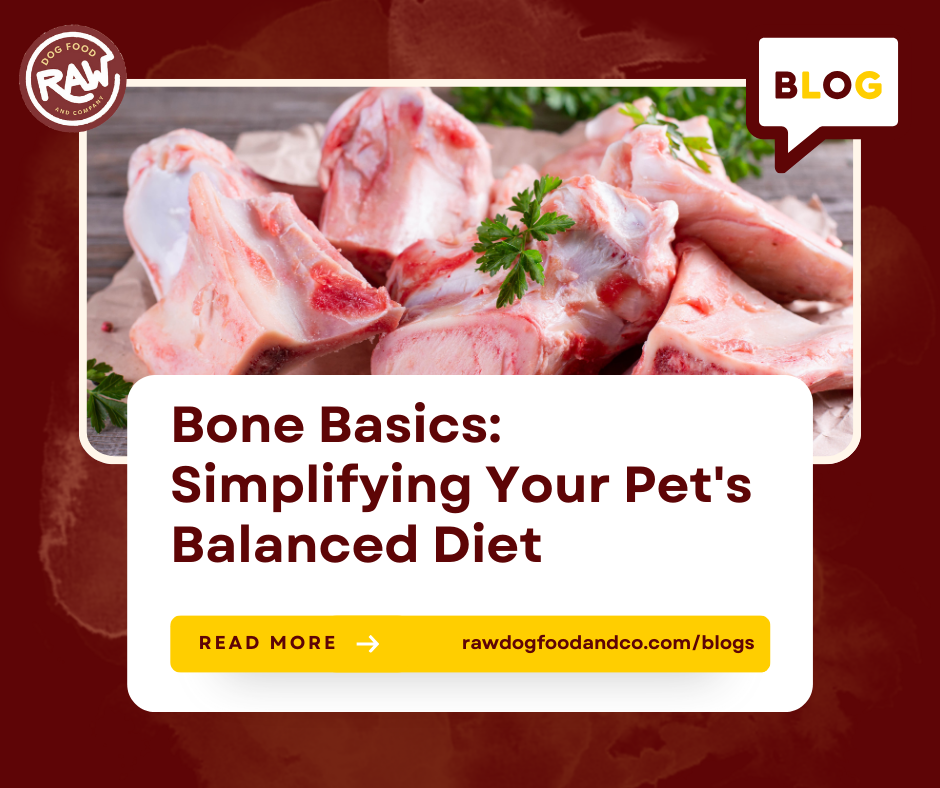 Bone Basics: Simplifying Your Pet's Balanced Diet