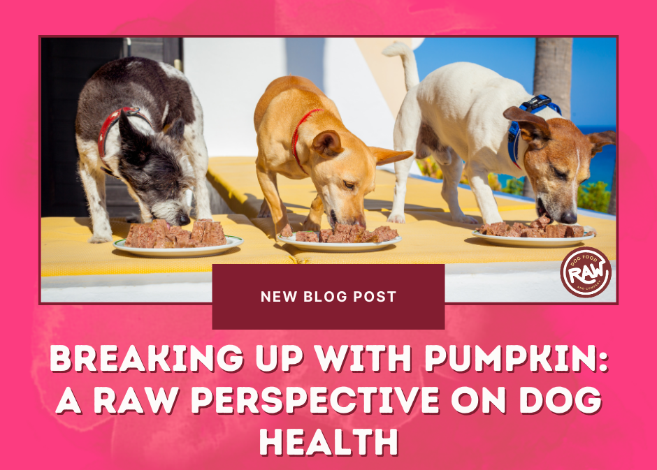 Breaking Up with Pumpkin: A Raw Perspective on Dog Health