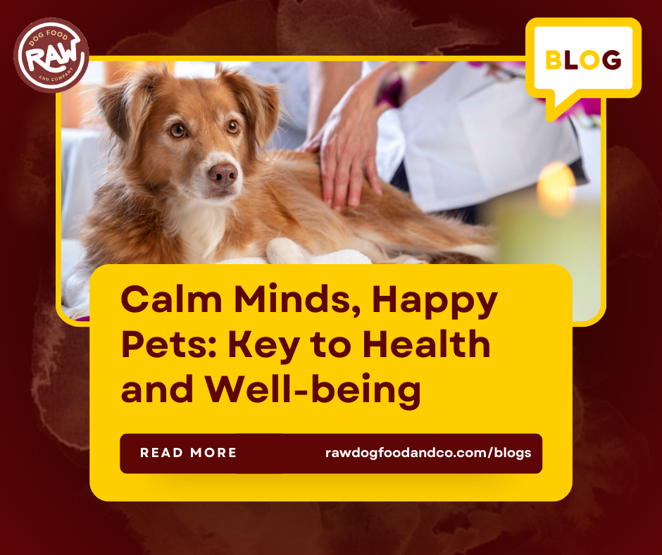 Calm Minds, Happy Pets: Key to Health and Well-being