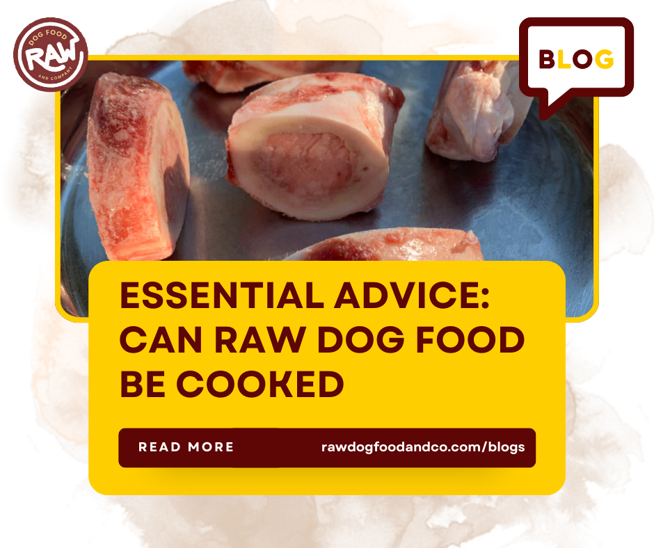Essential Advice: Can Raw Dog Food Be Cooked?