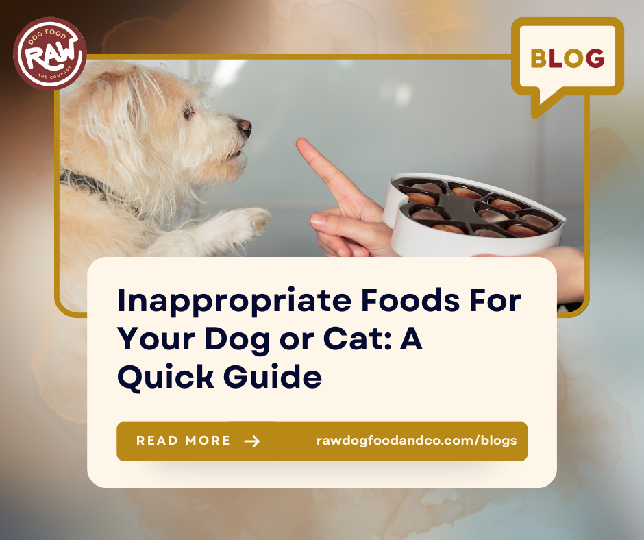 Inappropriate Foods For Your Dog or Cat: A Quick Guide