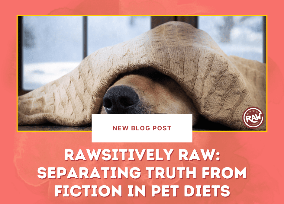 Rawsitively Raw: Separating Truth from Fiction in Pet Diets