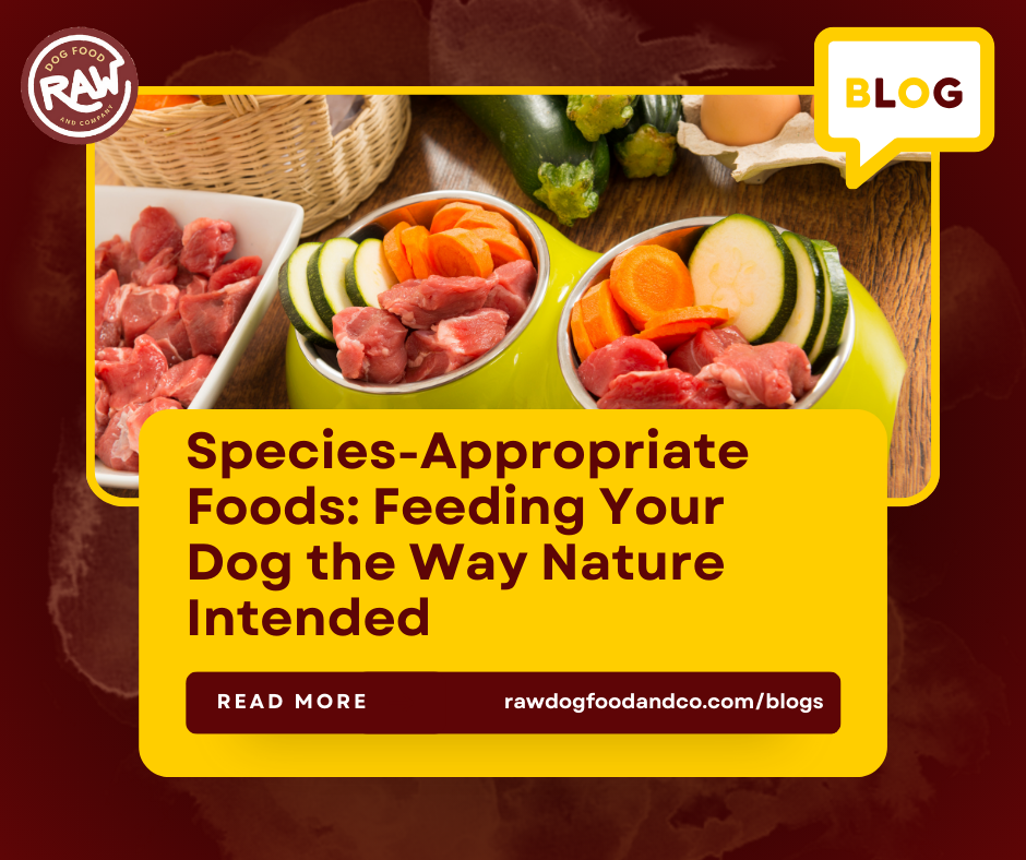Species-Appropriate Foods: Feeding Your Dog the Way Nature Intended!