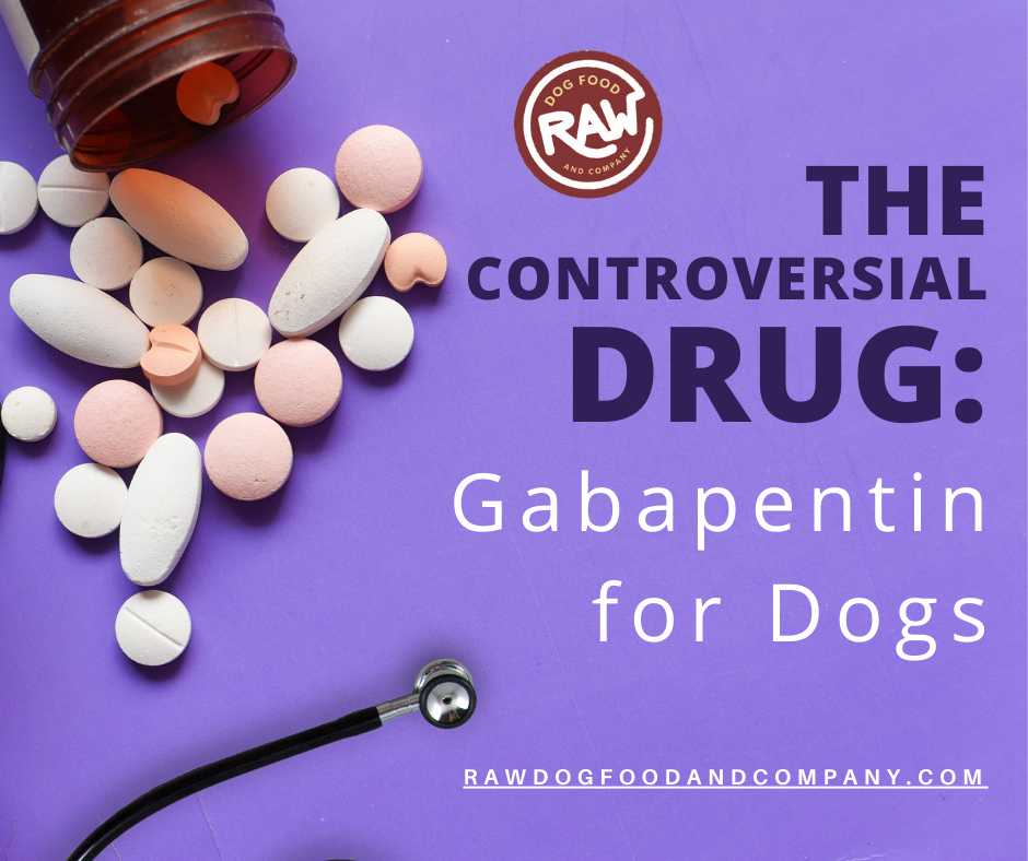 The Controversial Drug: Gabapentin for Dogs