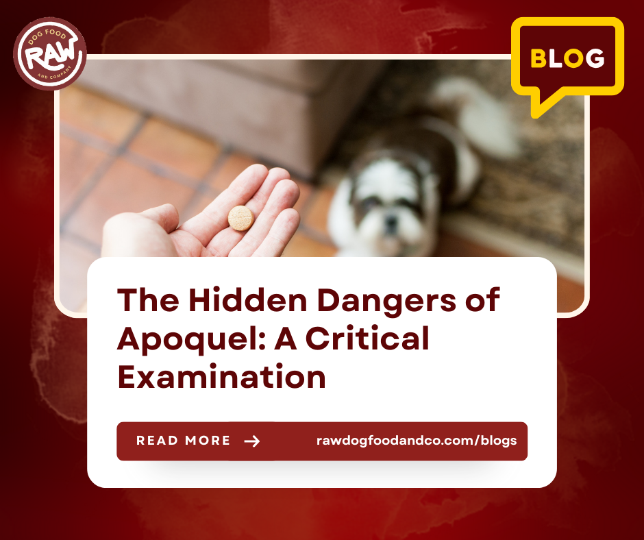 The Hidden Dangers of Apoquel: A Critical Examination