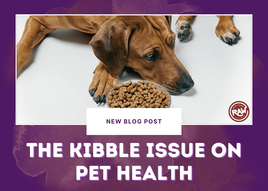 The Kibble Issue on Pet Health