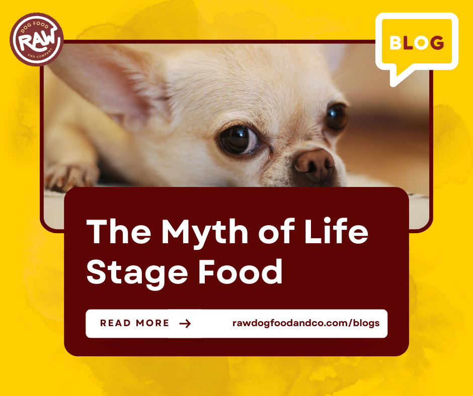 The Myth of Life Stage Food