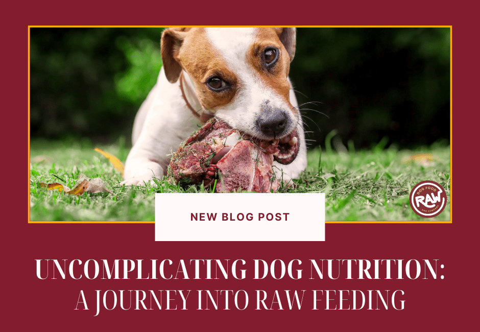 Uncomplicating Dog Nutrition: A Journey into Raw Feeding