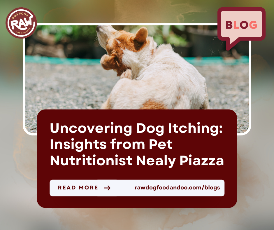 Uncovering Dog Itching: Insights from Pet Nutritionist Nealy Piazza