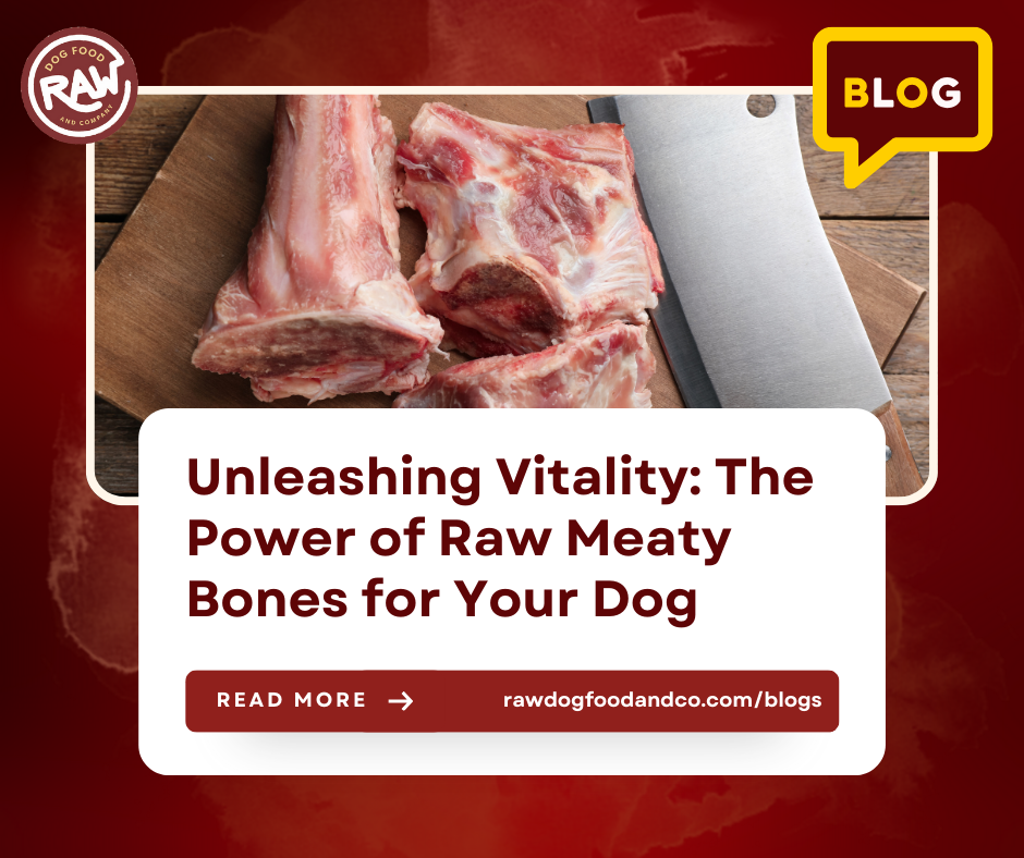 Unleashing Vitality: The Power of Raw Meaty Bones for Your Dog