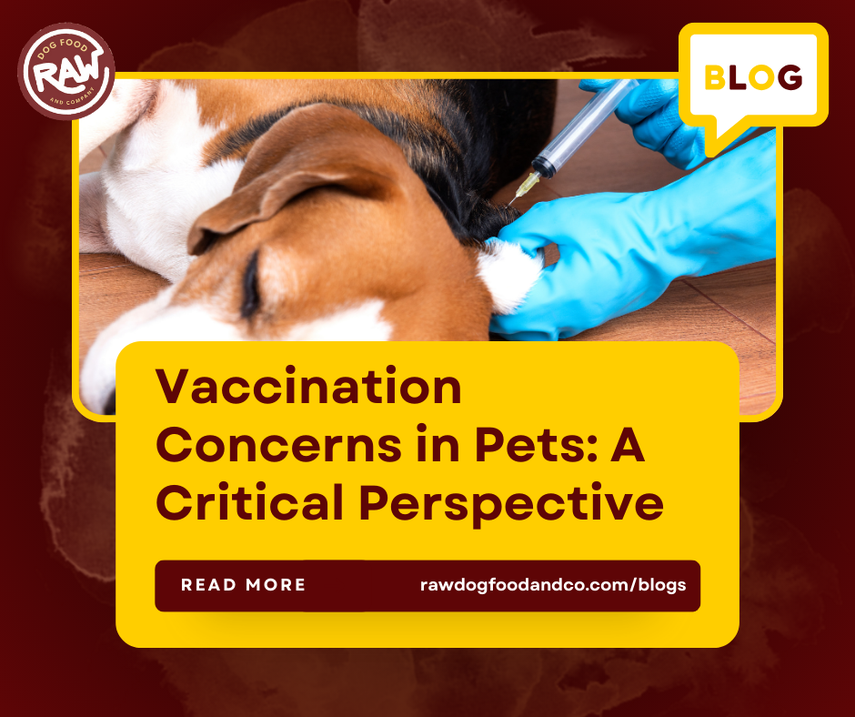 Vaccination Concerns in Pets: A Critical Perspective