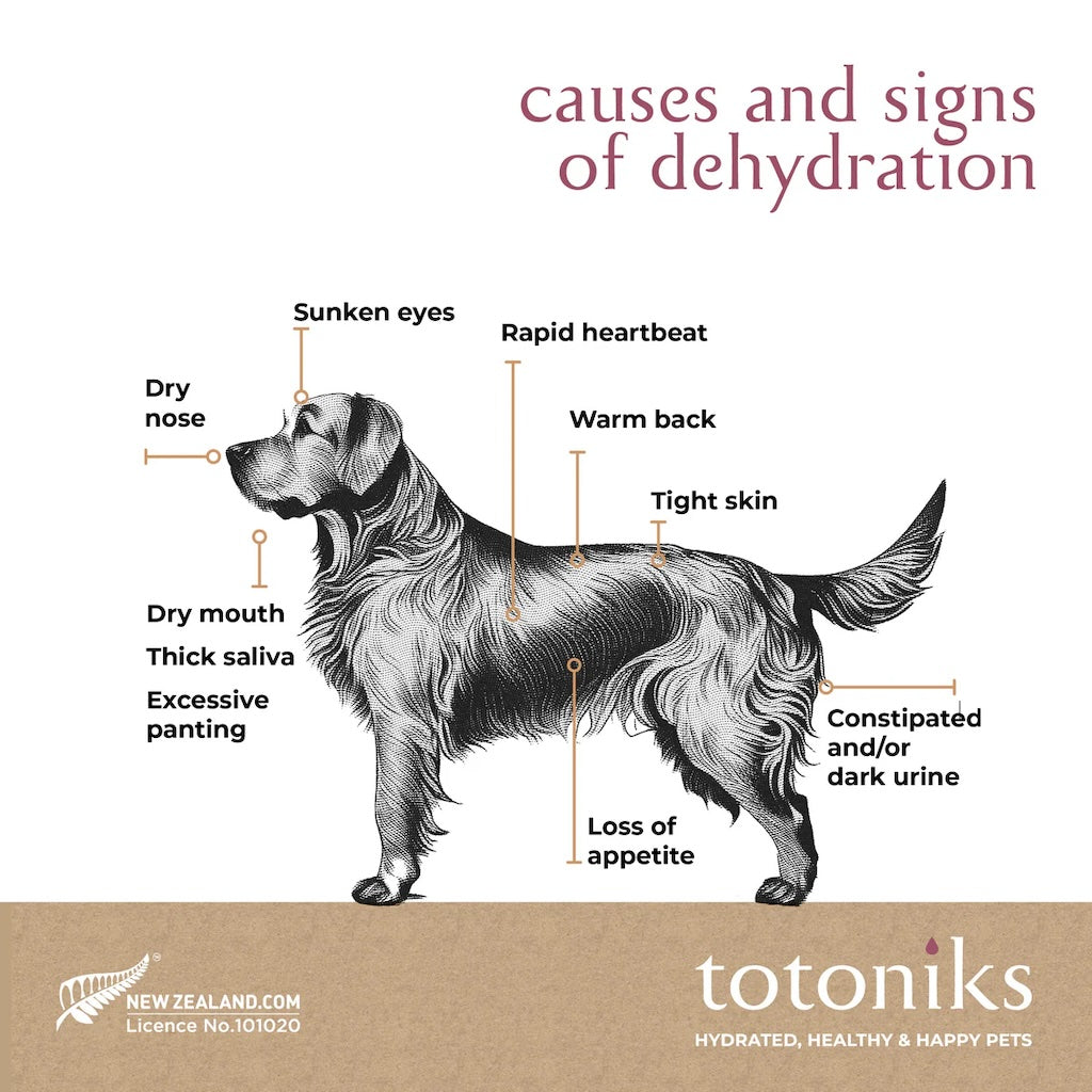 Totoniks Starter Pack