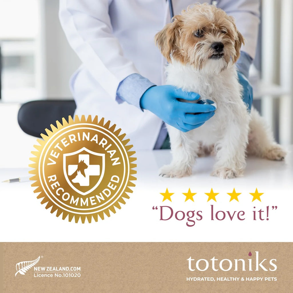 Totoniks Starter Pack