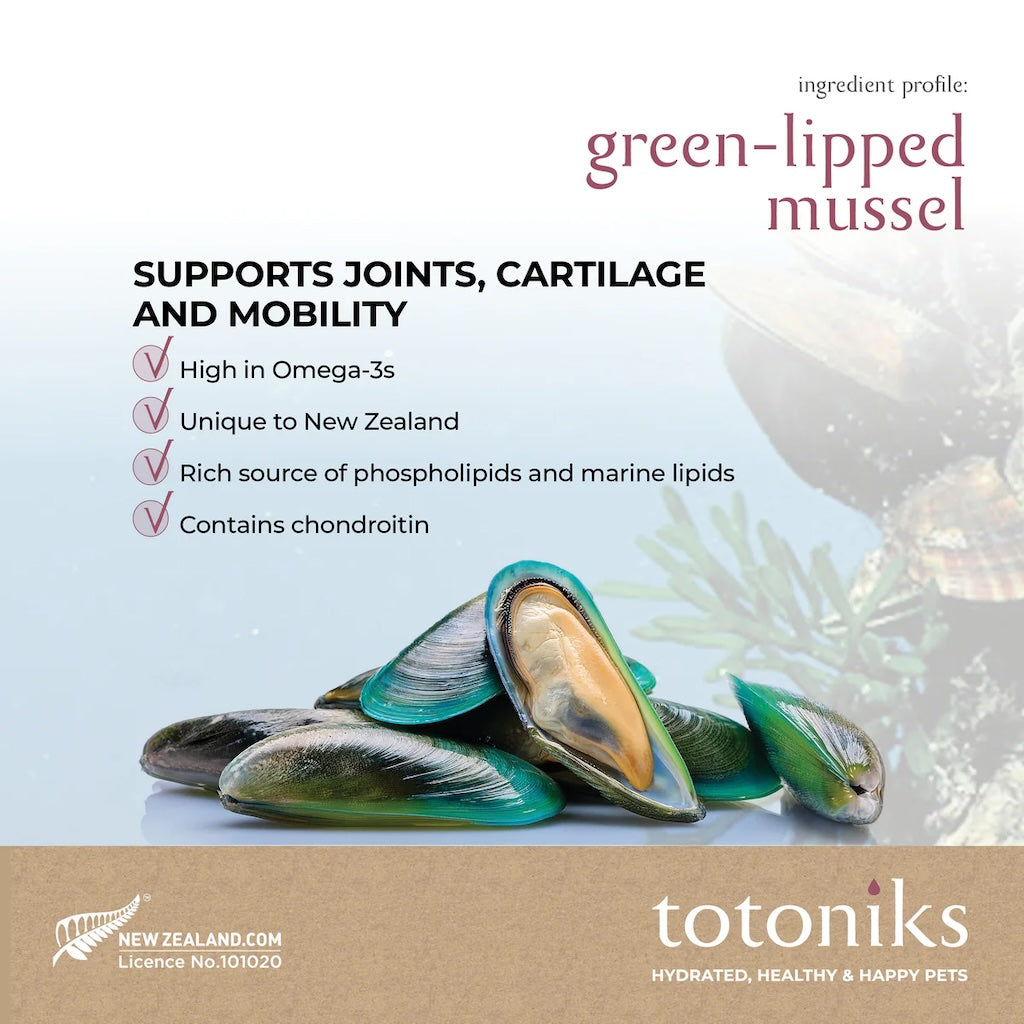 Totoniks Starter Pack