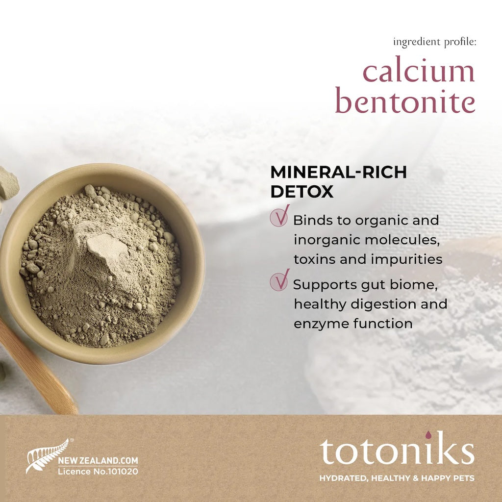 Totoniks Starter Pack