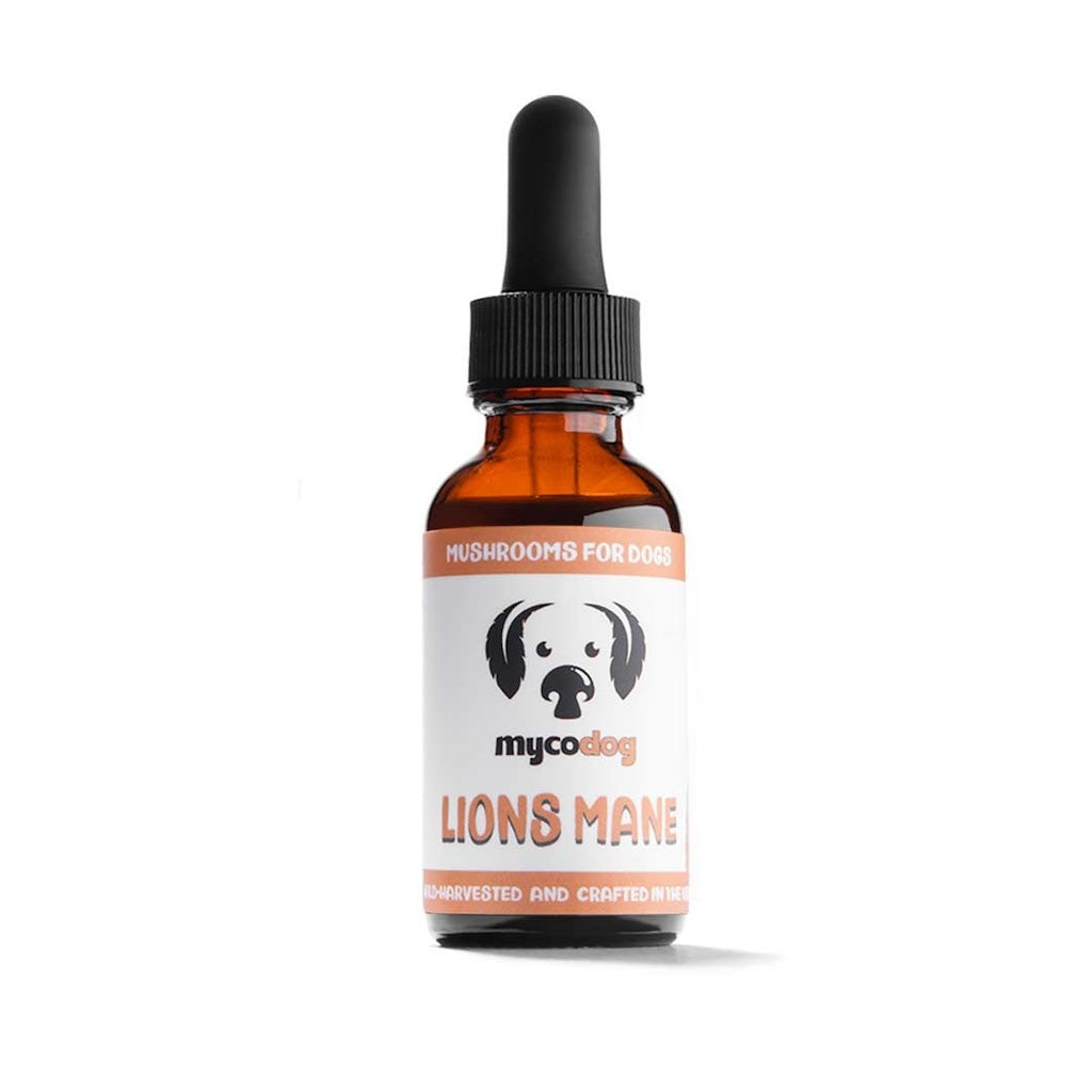 Lion&#39;s Mane Single Mushroom Extract