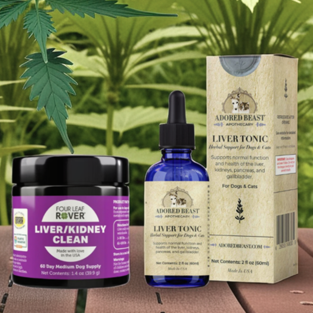 Detox Bundle