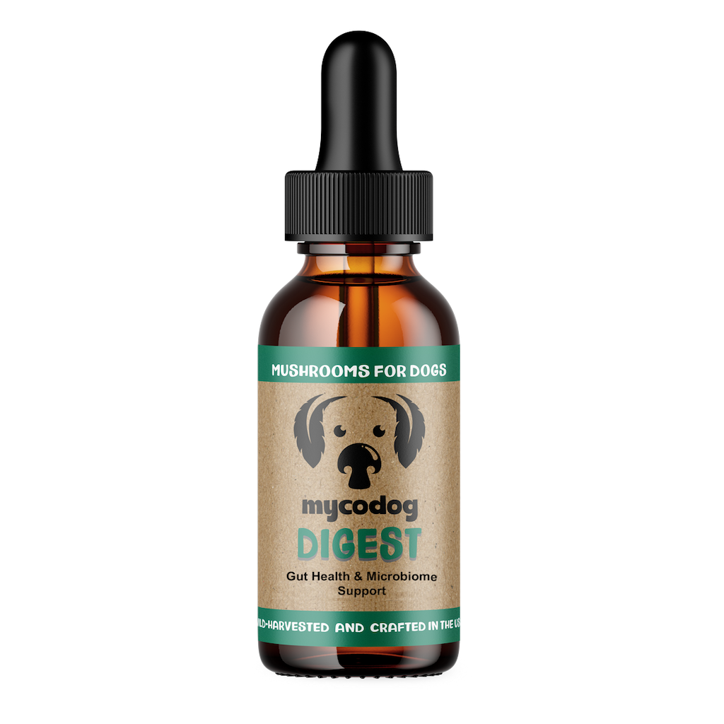 Digest For Dogs
