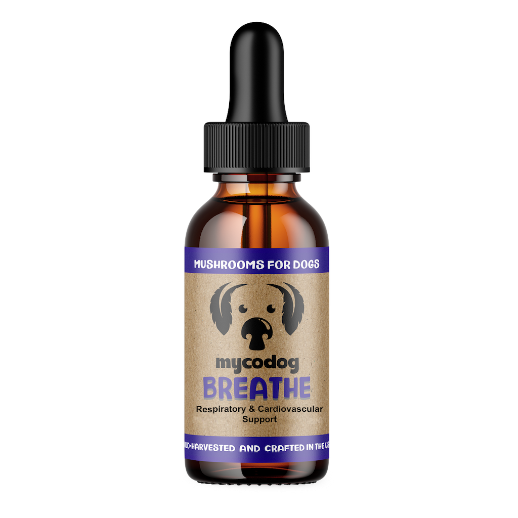 Breathe For Dogs