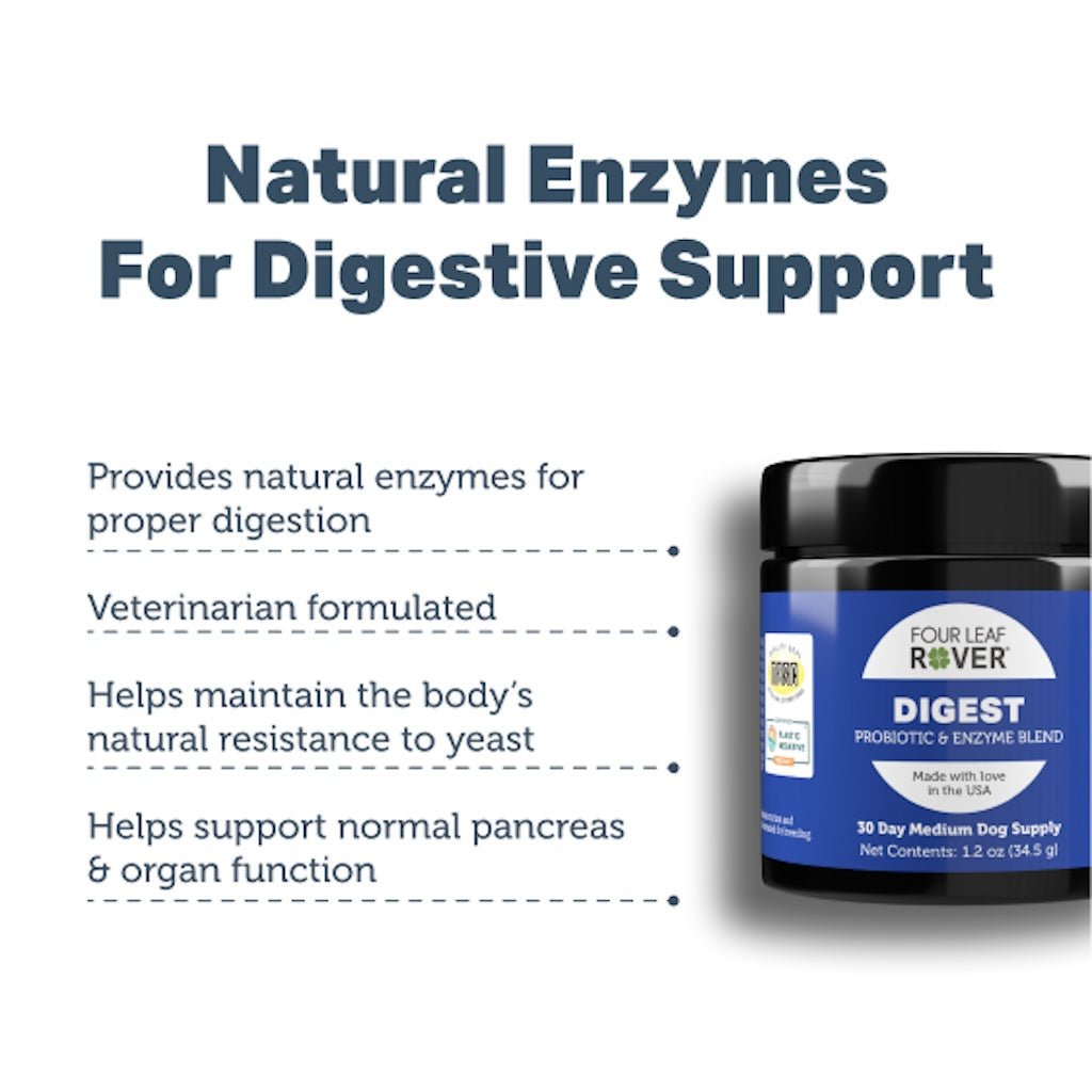 Best Digestive Supplement for Dogs: Top Picks for Healthy Tummies