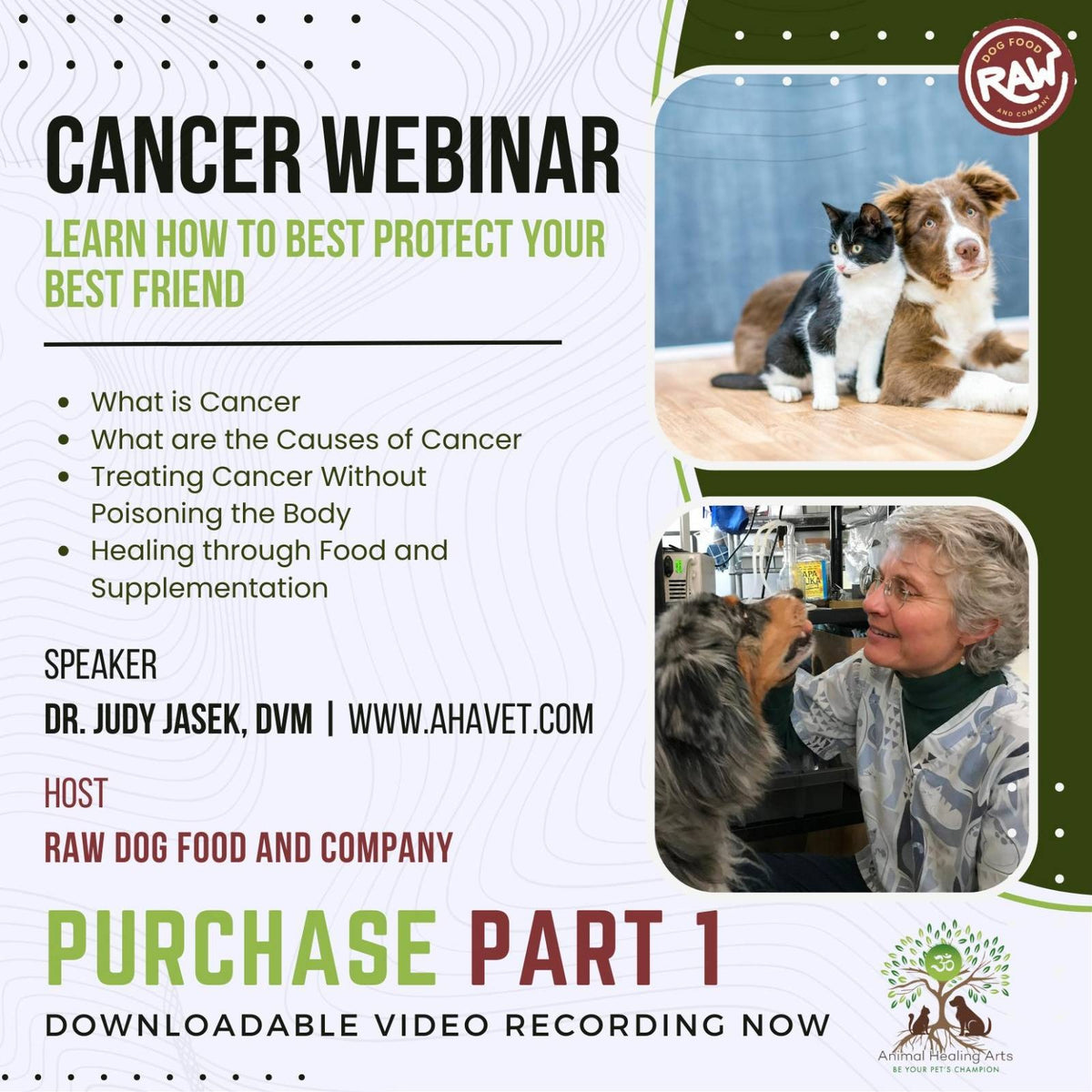 Cancer Webinar Series Part 1 - Holistic Vet Dr. Judy Jasek, DVM