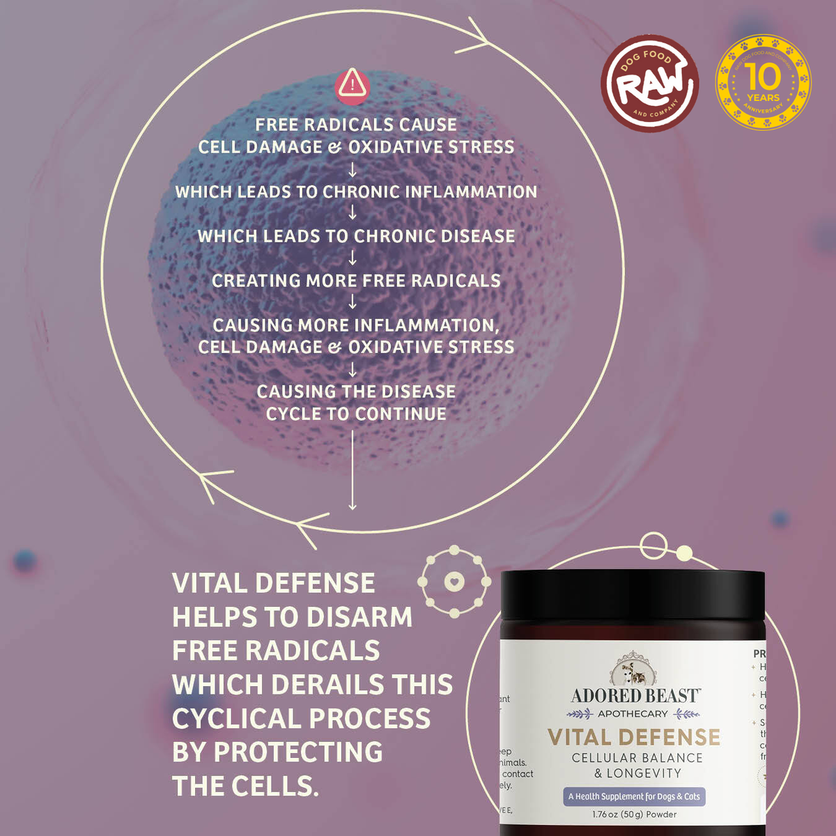 Vital Defense - Cellular Balance and Longevity