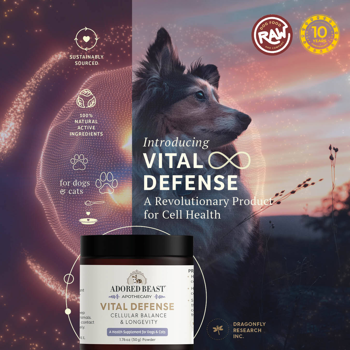 Vital Defense - Cellular Balance and Longevity