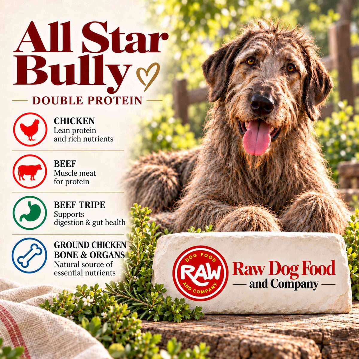 All Star Bully