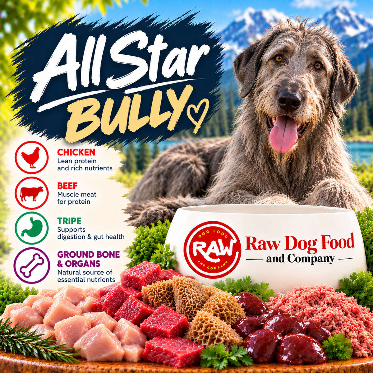 All Star Bully