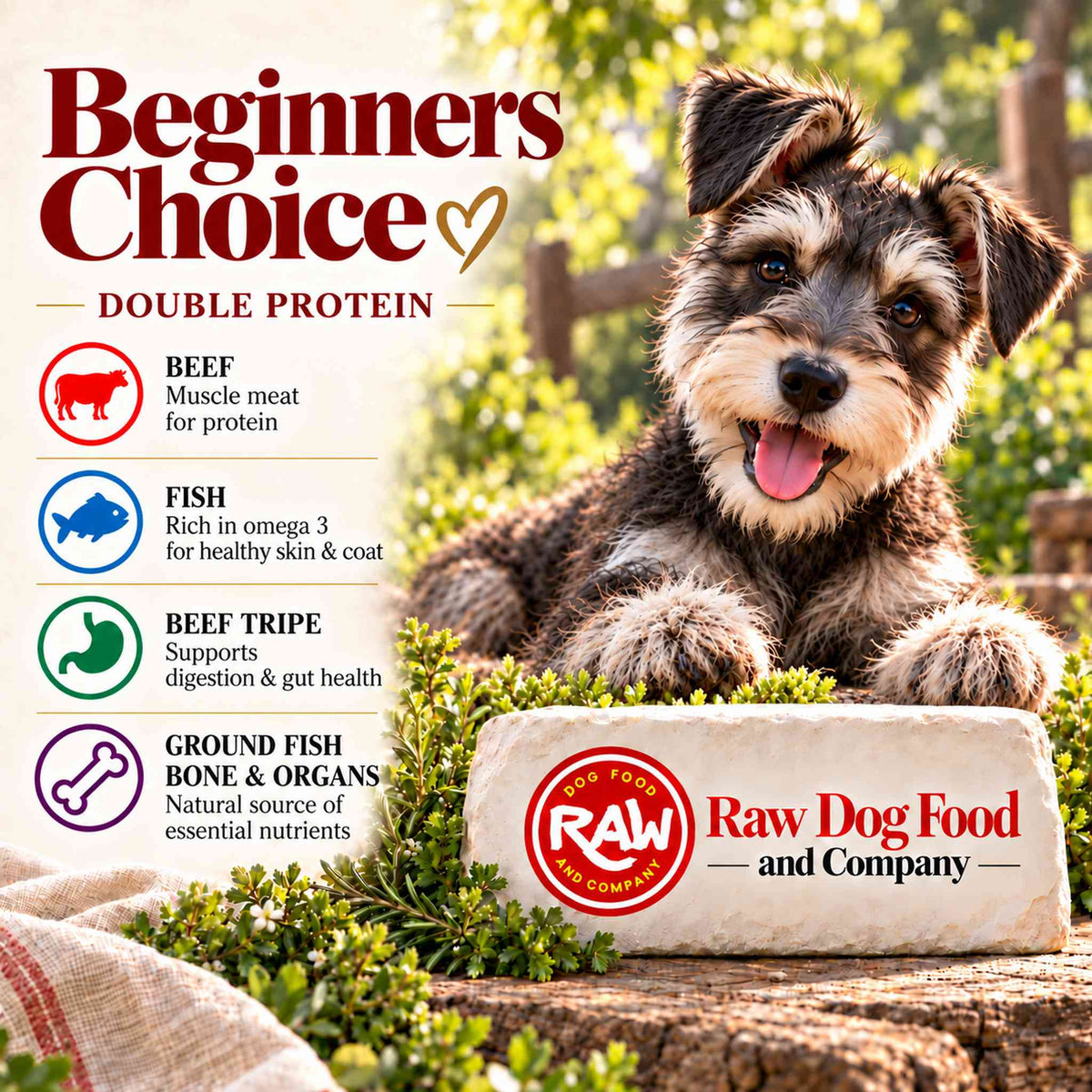 Beginners Choice
