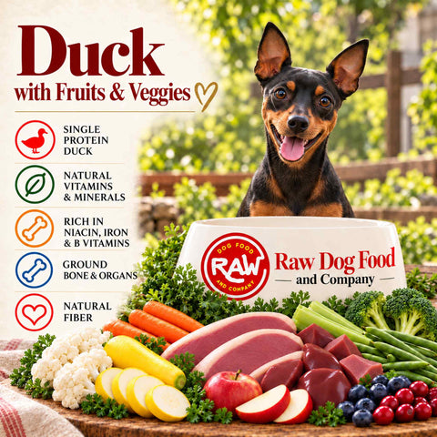 Duck Recipe (with fruits and veggies)