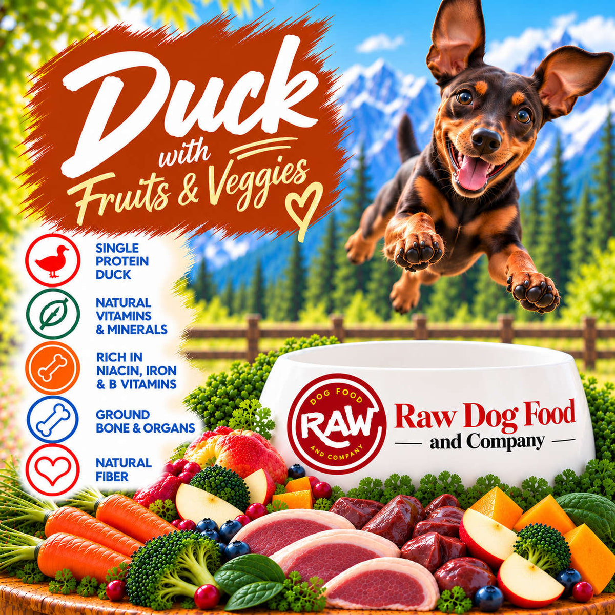 Duck Recipe (with fruits and veggies)