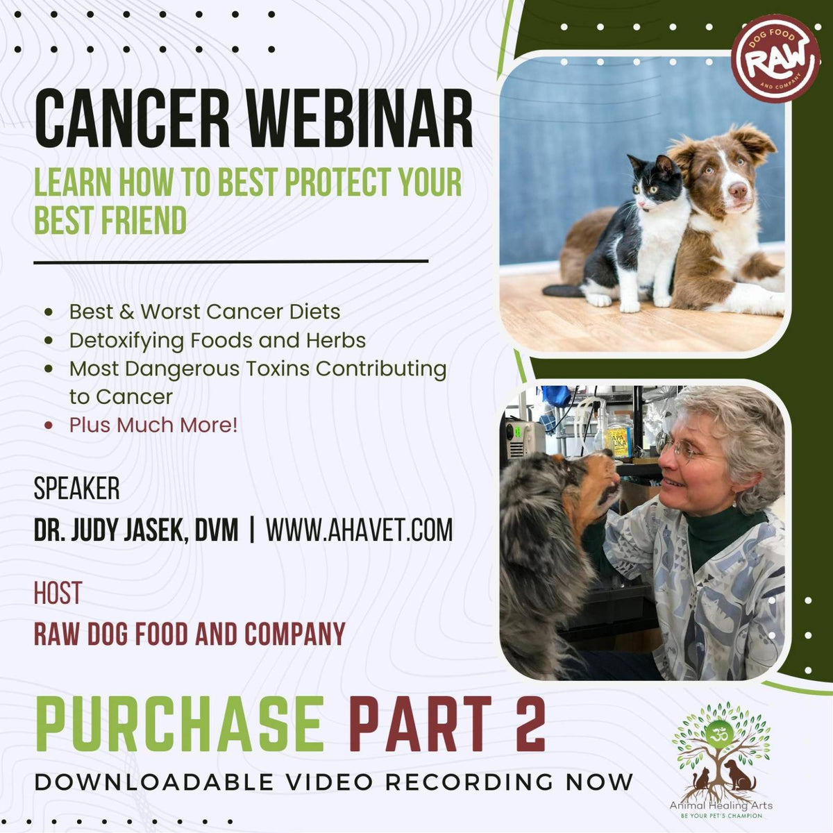 Cancer Webinar Series Part 2 -  Holistic Vet Dr. Judy Jasek, DVM