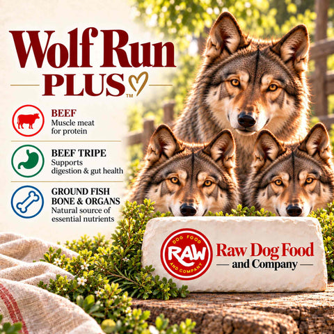 Wolf Run Plus