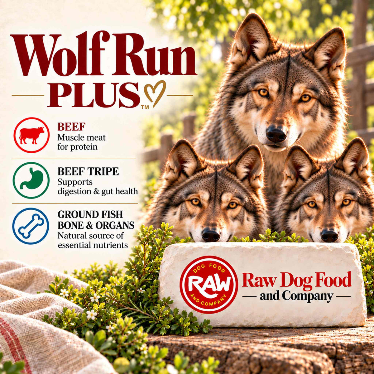 Wolf Run Plus