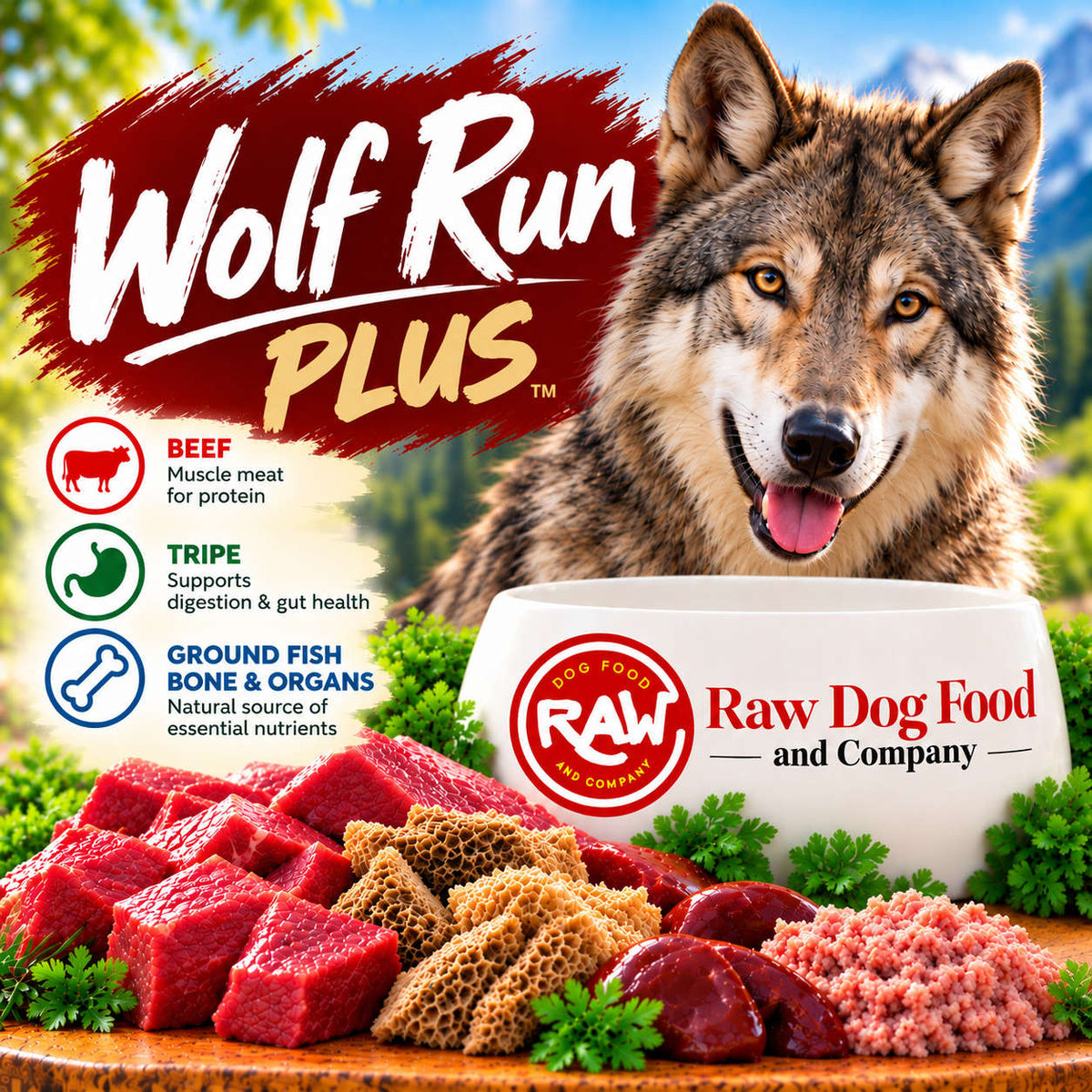Wolf Run Plus