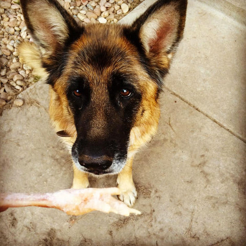Chicken Paws (5 lb)