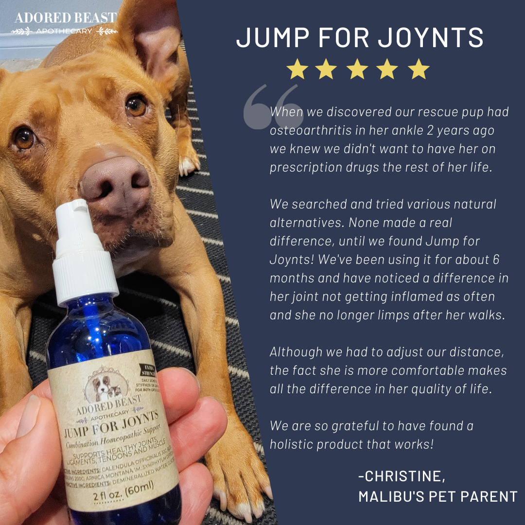 Jump For JOYnts - Extra Strength - Arthritis- Joint Aches