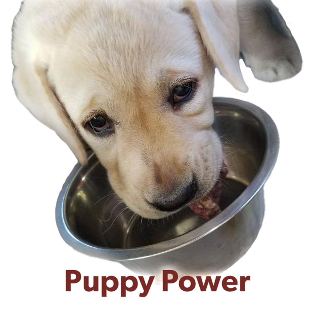 Puppy Power Raw Box (10 lb) - Main Image