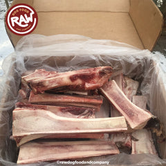 Dog marrow 2025 bones raw