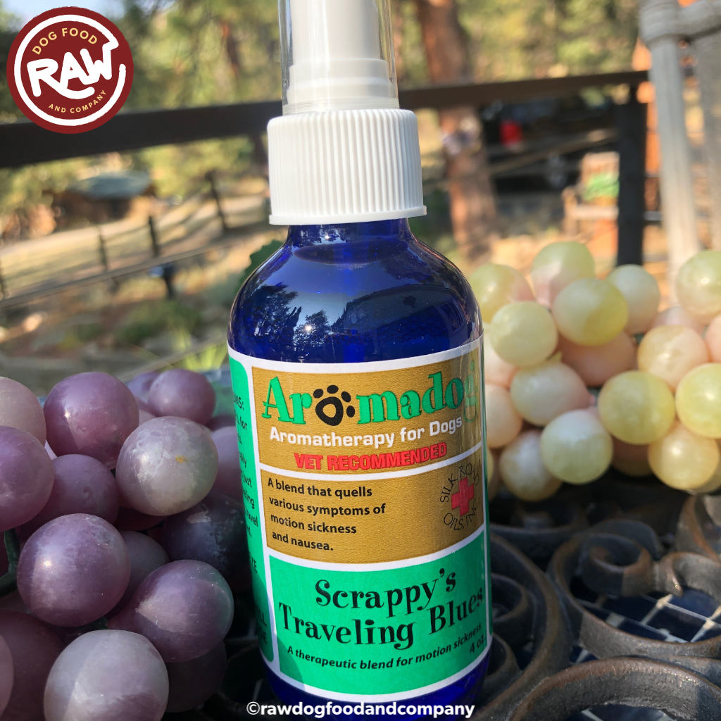 Traveling Blues Cure for Car Sickness